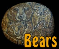 Bears