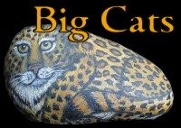 Big Cats